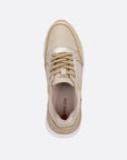 DOLCE25 - TENIS DEPORTIVO www.simeonshoes.com