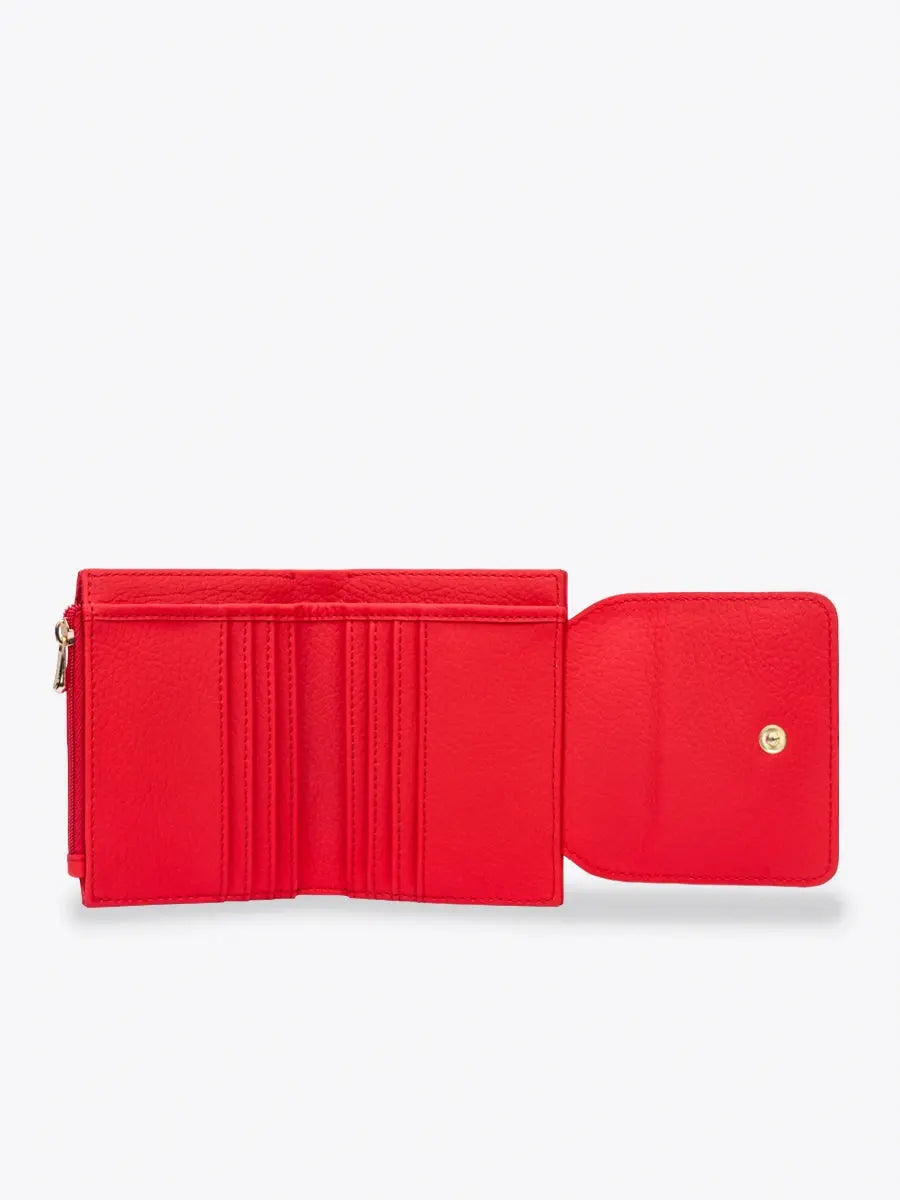 TA078SMC - BILLETERA